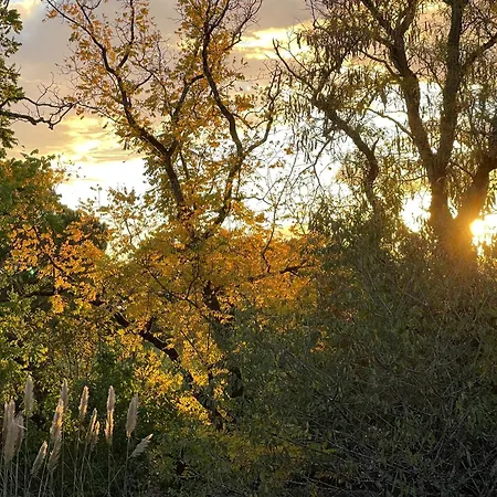 Chant Du Buc, Le Loft Marssac-sur-Tarn
