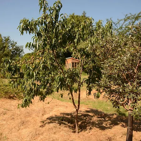 Chant Du Buc, Le Loft *