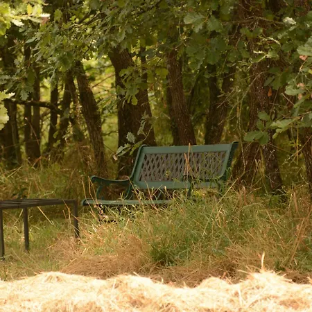 Tatil Evi Chant Du Buc, Le Loft