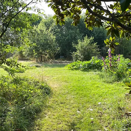 Le Loft Du Chant Du Buc, Gite De Standing Et Piscine De 15M Dans Un Parc Prázdninový dům Marssac-sur-Tarn